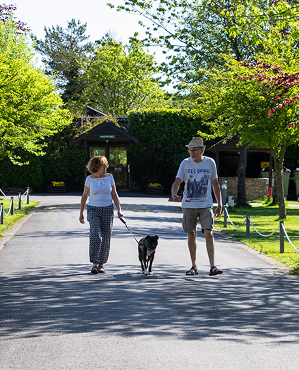 A couple walking a black dog on a lead along the road through the park, trees and grass on either side
